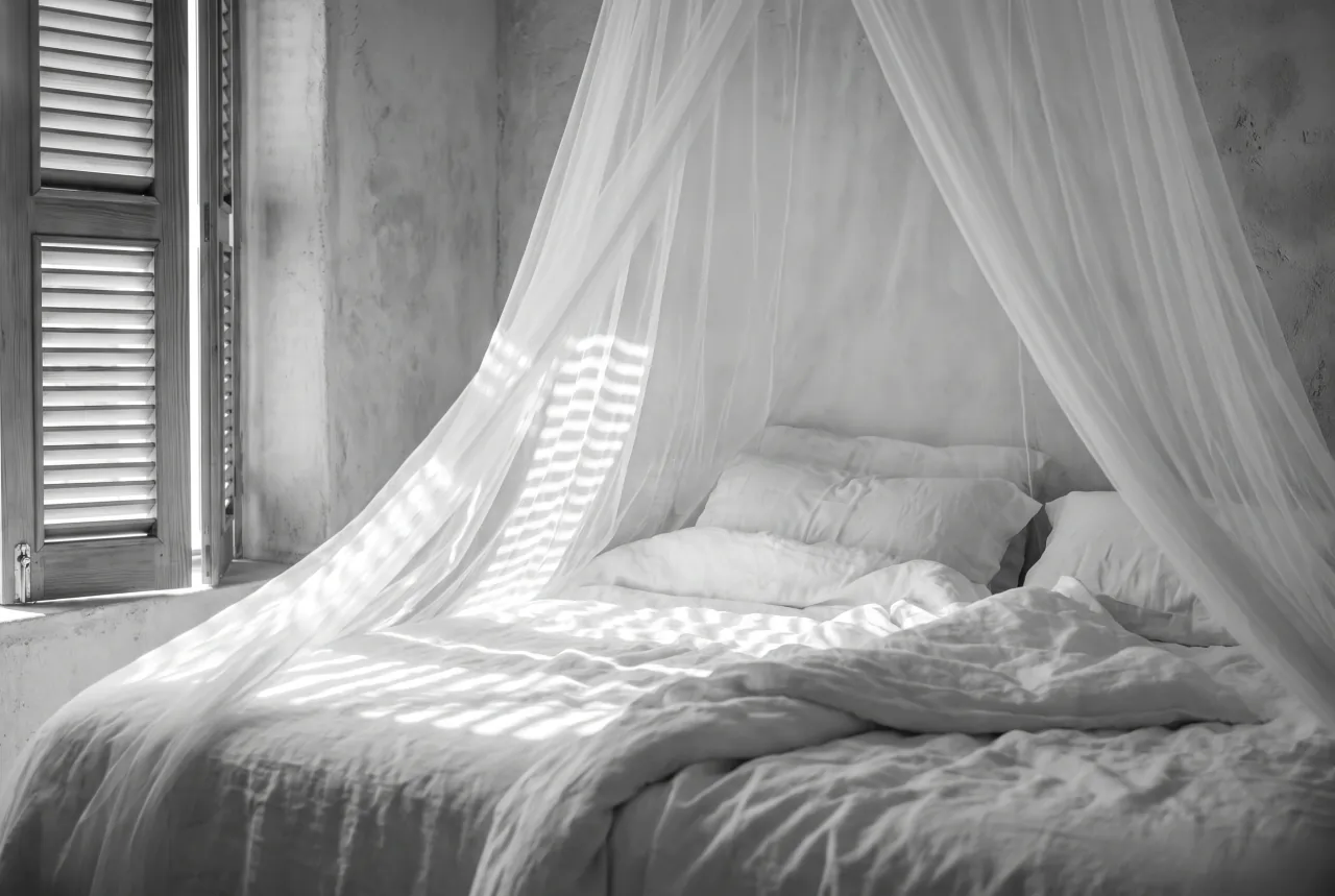 Mosquito net and linen bedding in morning light