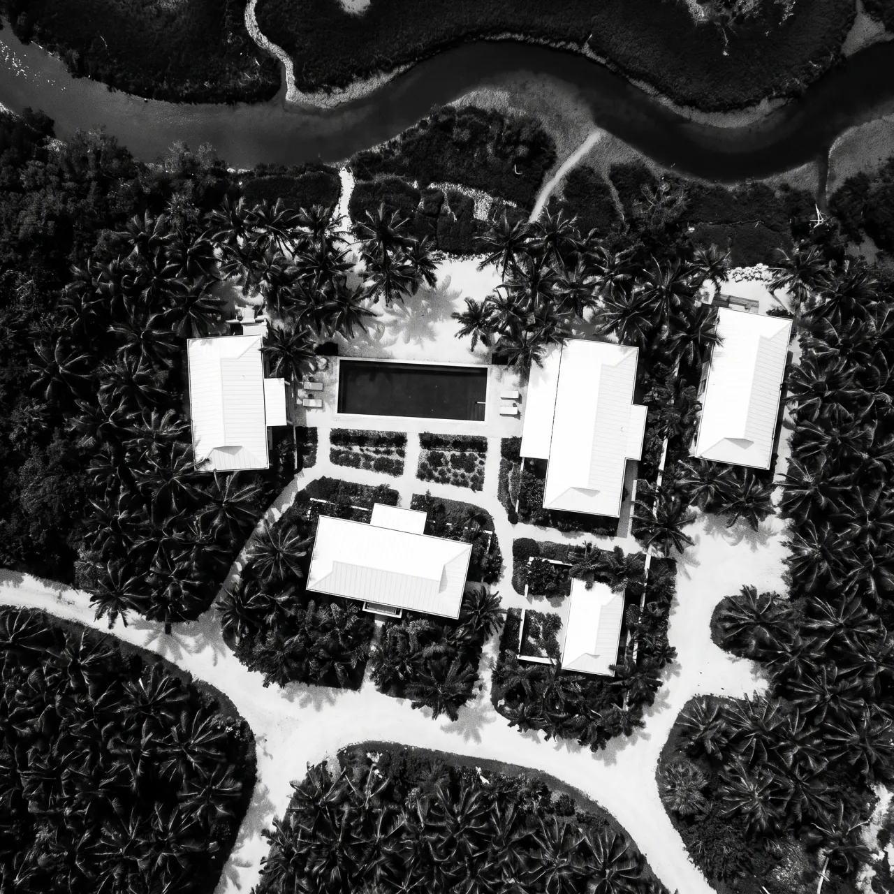 Aerial view of the estate — flat roofs and pool among coconut palms
